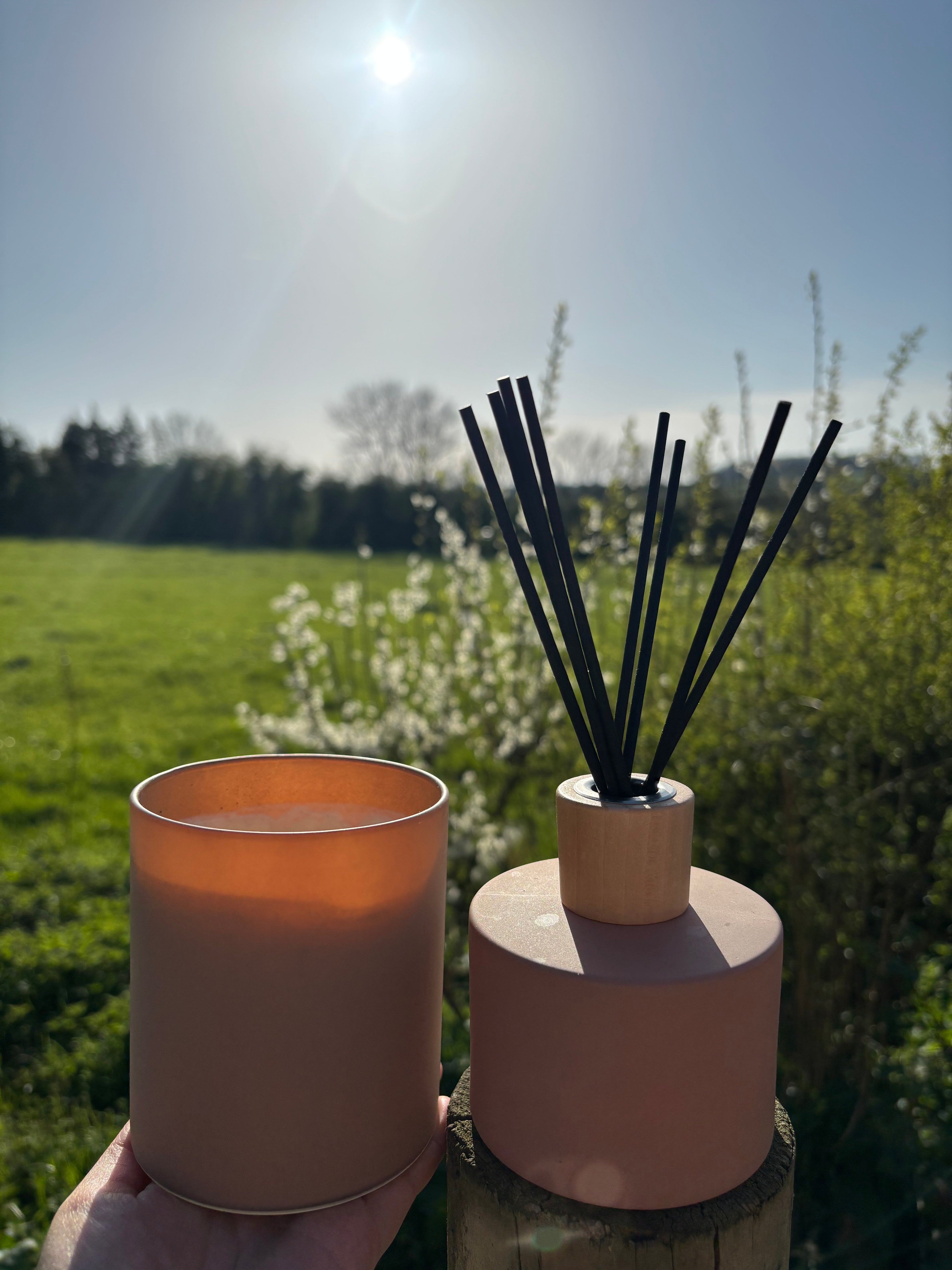 Cafe 200ml Diffuser